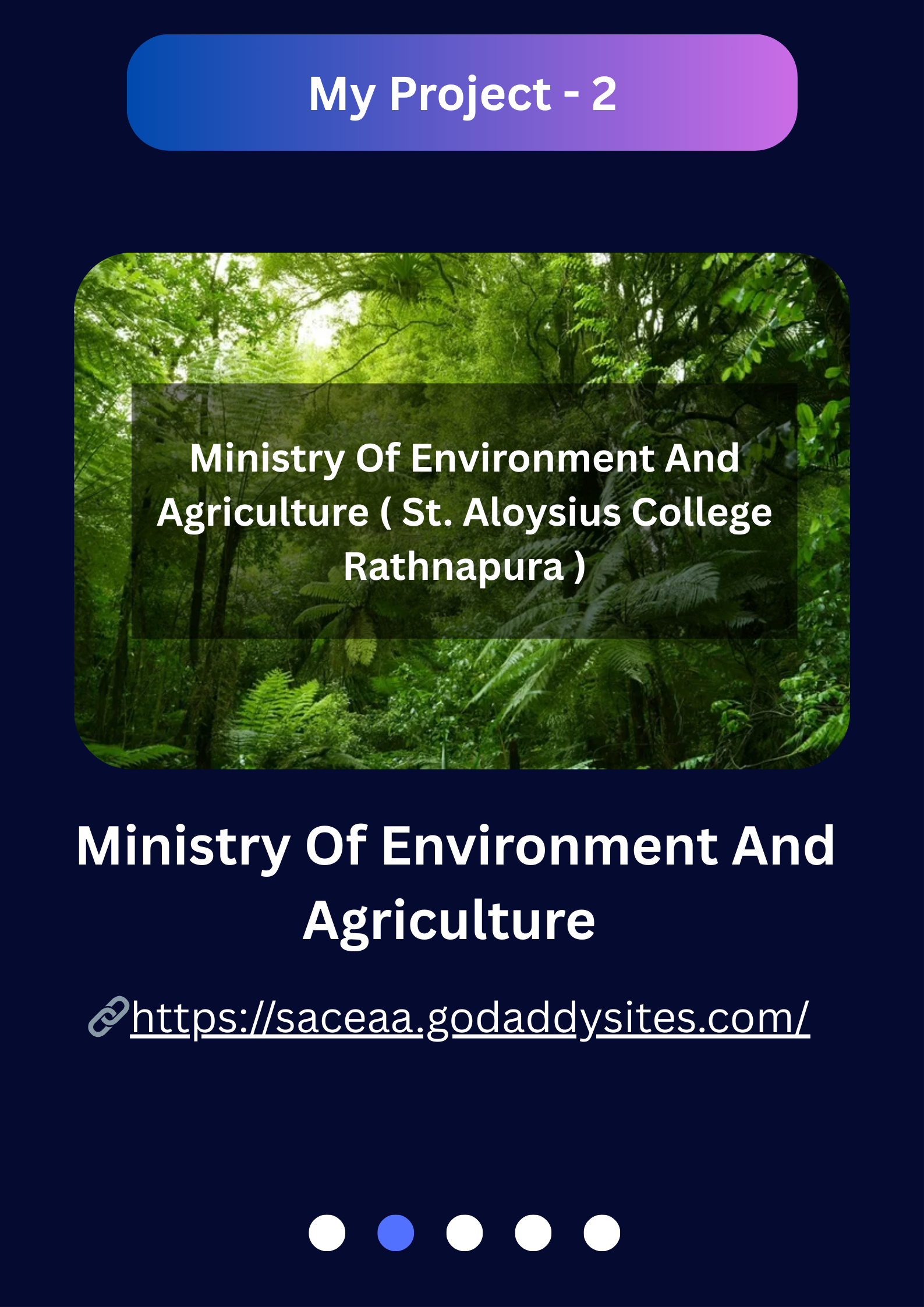 Slide 3